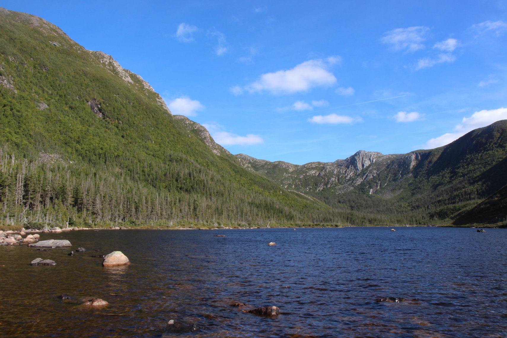 Parc_Gaspesie_216