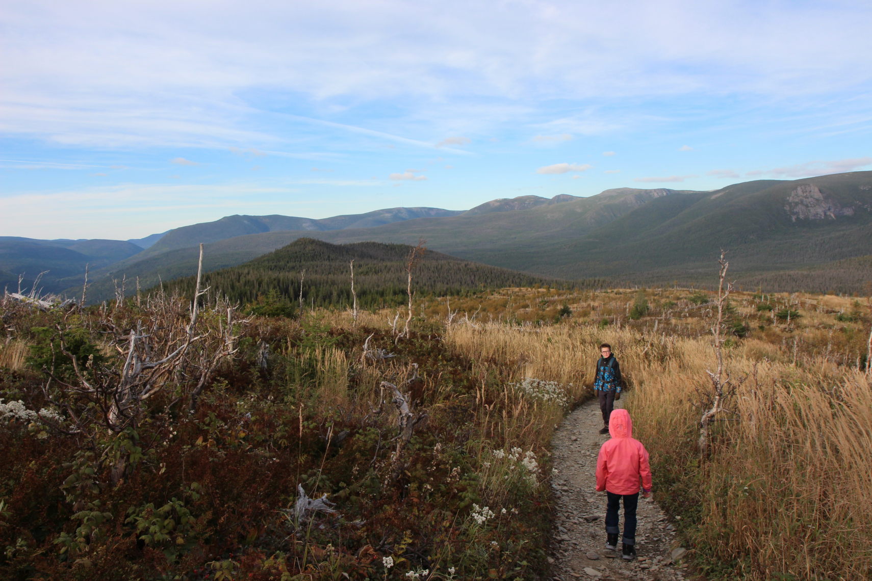 Parc_Gaspesie_234