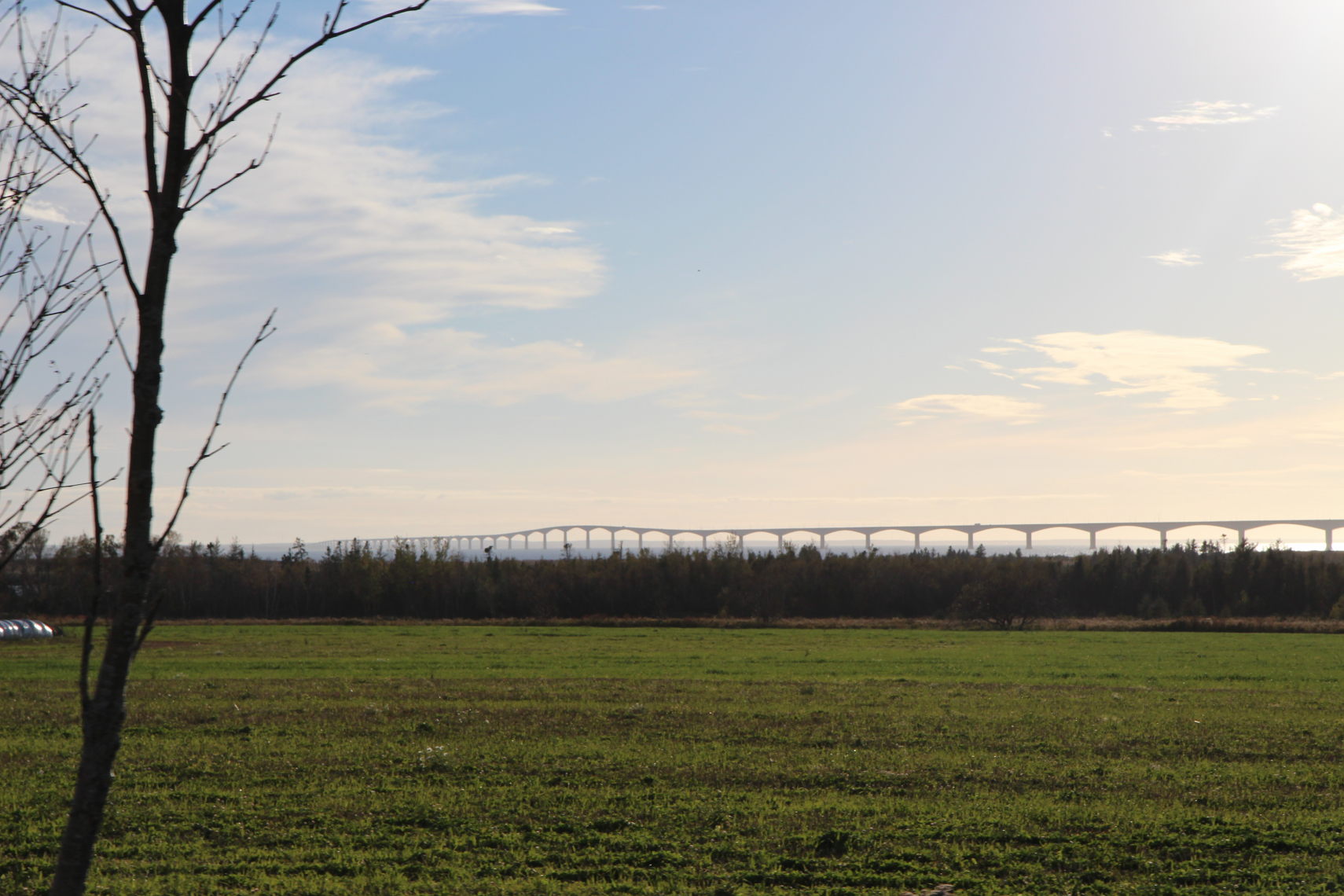 PEI_686_v1