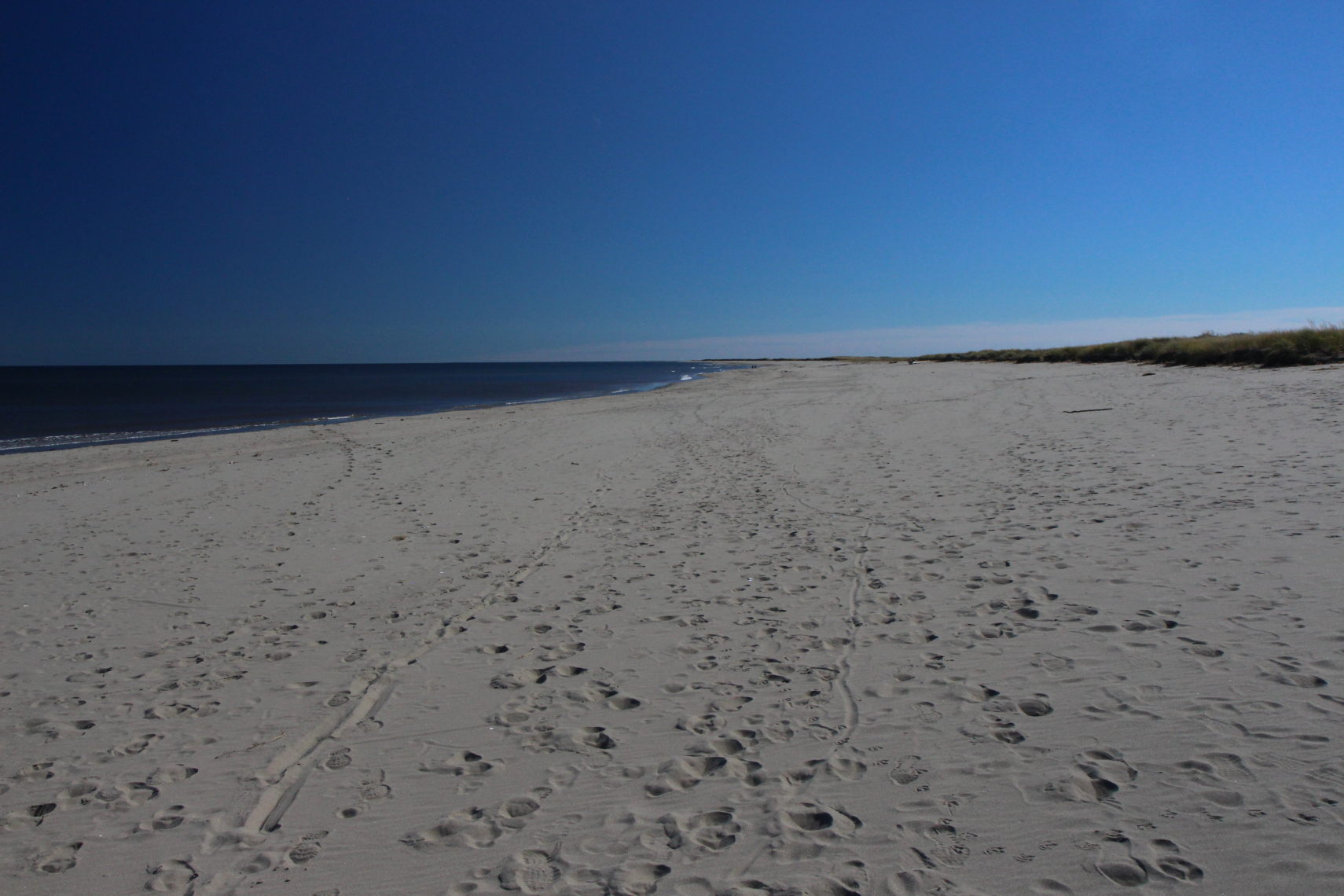 Acadie_556