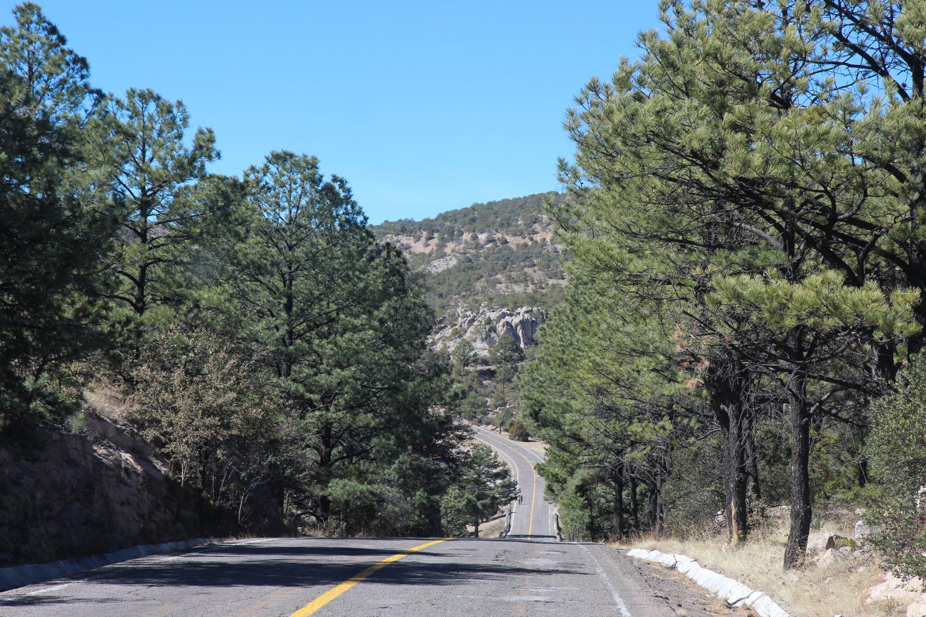 Route en allant vers la Sierra Madre Occidental