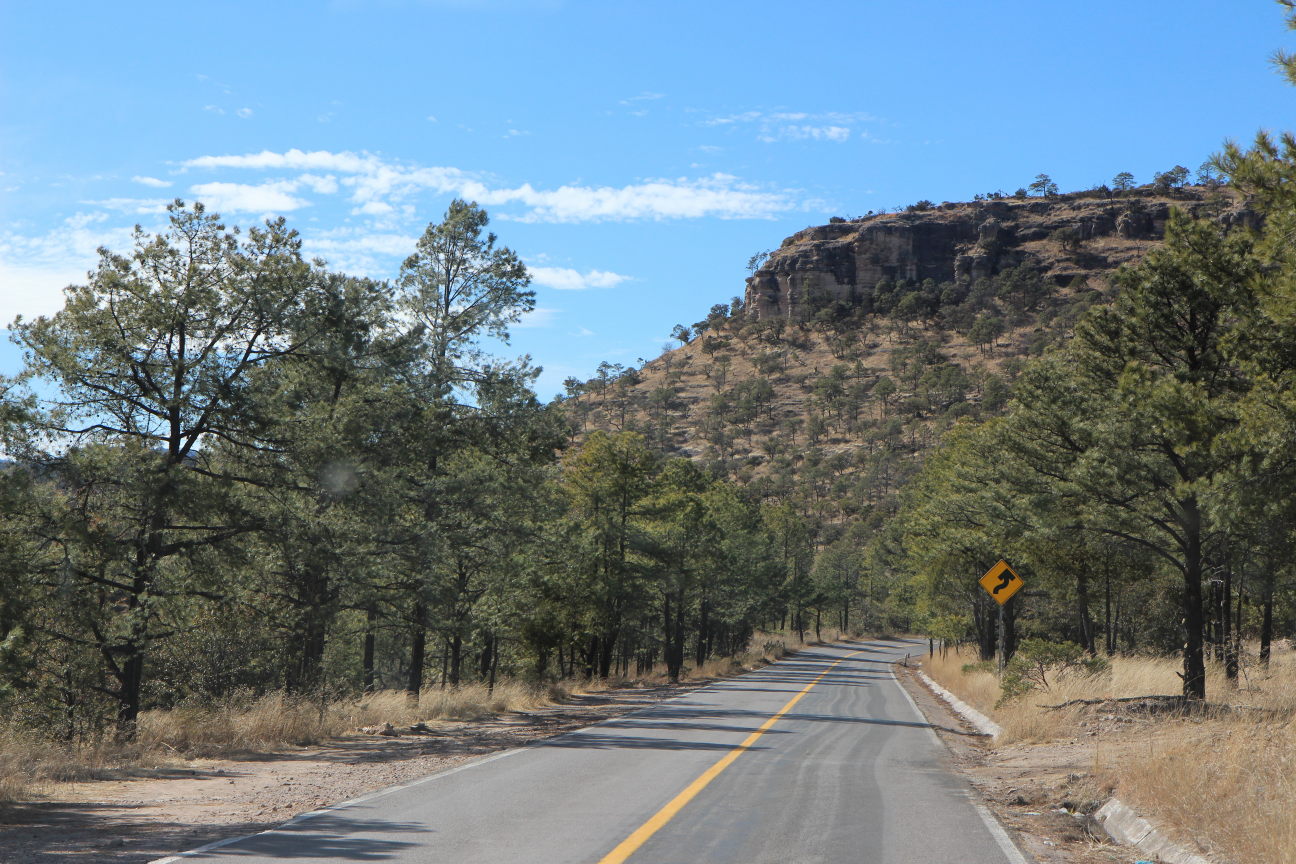 Route en allant vers la Sierra Madre Occidental